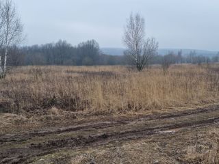 Продам зем участок есть электричество фото 13 Щёкино