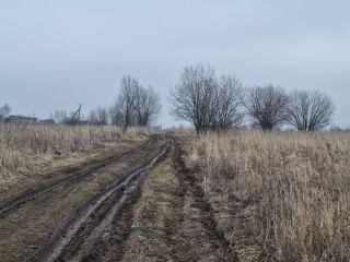 Продам зем участок есть электричество фото 14 Щёкино