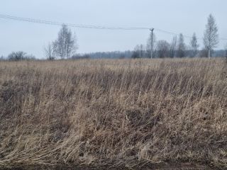 Продам зем участок есть электричество фото 16 Щёкино