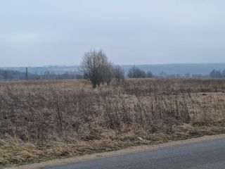 Продаю зем участок есть электричество фото 15 Щёкино