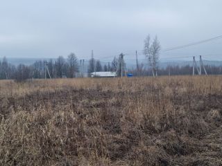 Продаю зем участок есть электричество фото 20 Щёкино