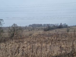 Продам земельный участок есть электричество фото 15 Щёкино