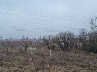 Продам земельный участок есть электричество фото 30 Щёкино