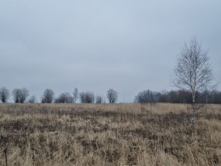 Продается зем участок есть электричество фото 5 Щёкино