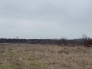 Продаю зем участок есть электричество фото Краснодар