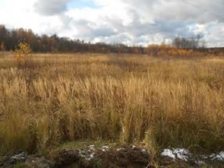Продается участок земли в садовом некоммерческом товариществе рядом асфальт фото 3 Раменское