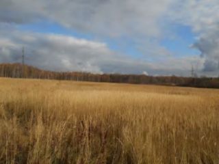 Продается участок земли в садовом некоммерческом товариществе рядом асфальт фото 9 Раменское