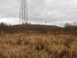 Продаю земельный участок в садовом некоммерческом товариществе фото 4 Раменское