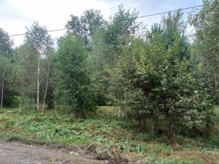 Продается земельный участок документы в полном порядке фото Горно-Алтайск