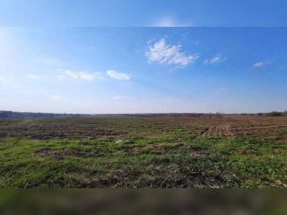 Продаю участок земли фото Карталы