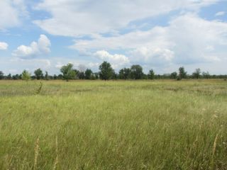 Продается участок земли есть электричество подключена канализация фото Тольятти