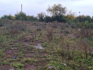 Продаю помещение свободного назначения фото 14 Ижевск