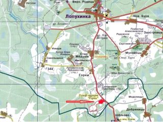 Продаю зем участок асфальтная дорога фото 2 Ломоносовский район, Лопухинское с.п., д. Горки