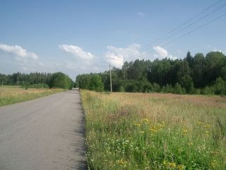 Продаю зем участок асфальтная дорога фото 5 Ломоносовский район, Лопухинское с.п., д. Горки