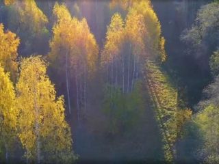 Продается зем участок есть документы фото 4 Старица