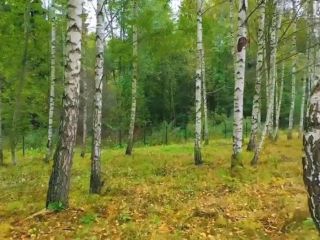 Продается зем участок есть документы фото 5 Старица