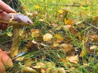 Продается зем участок есть документы фото 6 Старица