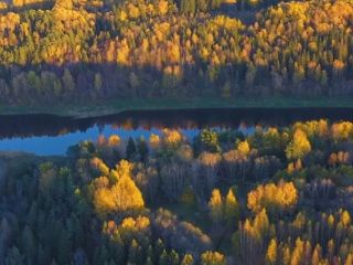 Продается зем участок есть документы фото 9 Старица