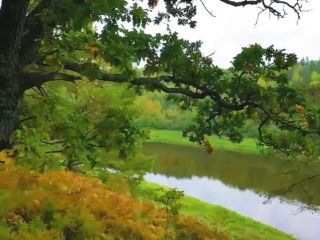 Продается зем участок есть документы фото 12 Старица