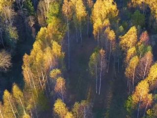 Продается зем участок есть документы фото 15 Старица