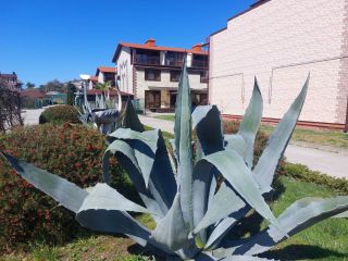 Продам кирпичный коттедж экологически чистый район документы на руках фото 3 Сочи