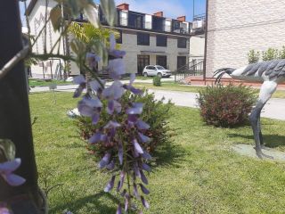 Продам кирпичный коттедж экологически чистый район документы на руках фото 14 Сочи