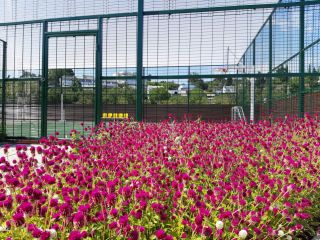 Продаю кирпичный коттедж рассрочка отдельный вход фото 17 Сочи