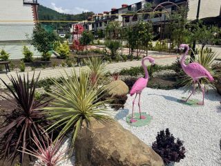 Продается кирпичный коттедж фото 24 Сочи