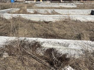 Продам кирпичный дом беловая отделка фото 15 С. Ленинское