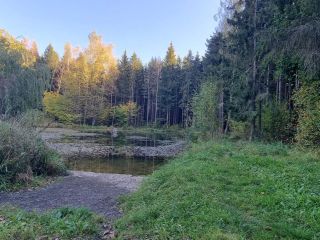 Продам зем участок асфальтная дорога в садовом некоммерческом товариществе фото 2 Москва