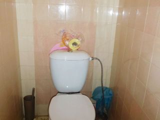 Продаю блочный дом косметический ремонт имеются хозяйственные постройки с коммуникациями фото 7 Ессентуки