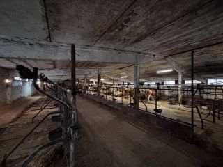 Сдается производство подключена канализация фото Наро-Фоминск