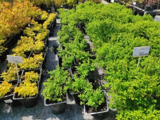 Сдается нежилое помещение с коммуникациями фото Жуков