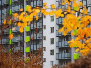 Продаю однушку фото 15 Всеволожск