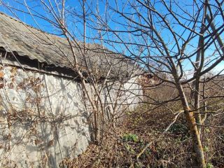 Продается нежилое помещение фото 15 Пенза