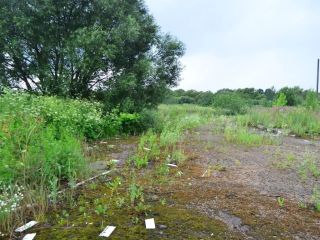 Продаю бизнес рядом асфальт фото 8 Смоленск