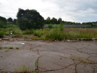 Продаю бизнес рядом асфальт фото 9 Смоленск