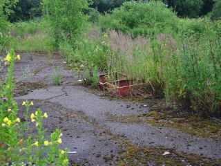 Продаю бизнес рядом асфальт фото 16 Смоленск
