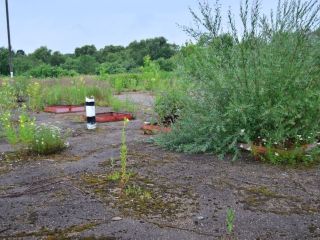 Продаю бизнес рядом асфальт фото 17 Смоленск