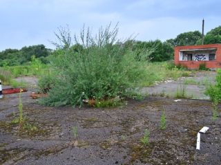 Продаю бизнес рядом асфальт фото 18 Смоленск