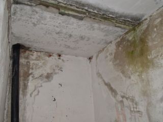 Продаю бизнес рядом асфальт фото 20 Смоленск