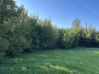 Продается нежилое помещение фото 7 Ижевск