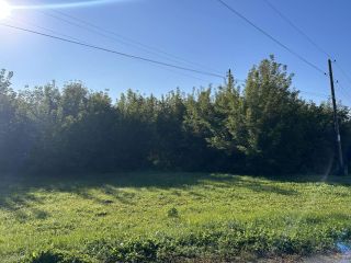 Продается нежилое помещение фото 9 Ижевск