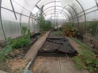 Продам кирпичный дом есть баня фото 23 Сызрань