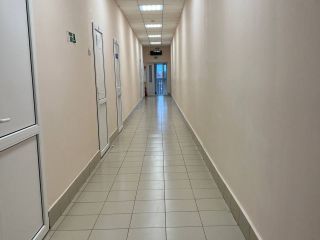 Продается помещение свободного назначения фото 14 Село Починки