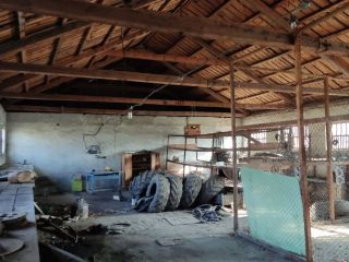 Продается помещение свободного назначения фото 44 Саратов