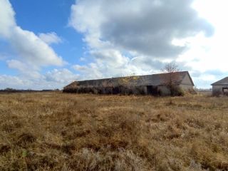 Продаю помещение свободного назначения фото 19 Саратов