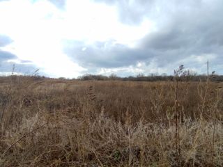 Продается нежилое помещение на первой линии фото 4 Саратов