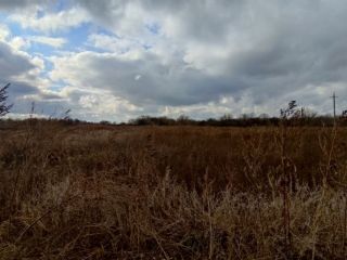 Продается нежилое помещение на первой линии фото 5 Саратов