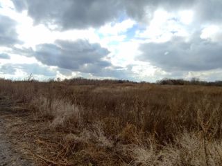 Продается нежилое помещение на первой линии фото 6 Саратов